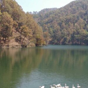 Exotic Corbett Nainital Tour