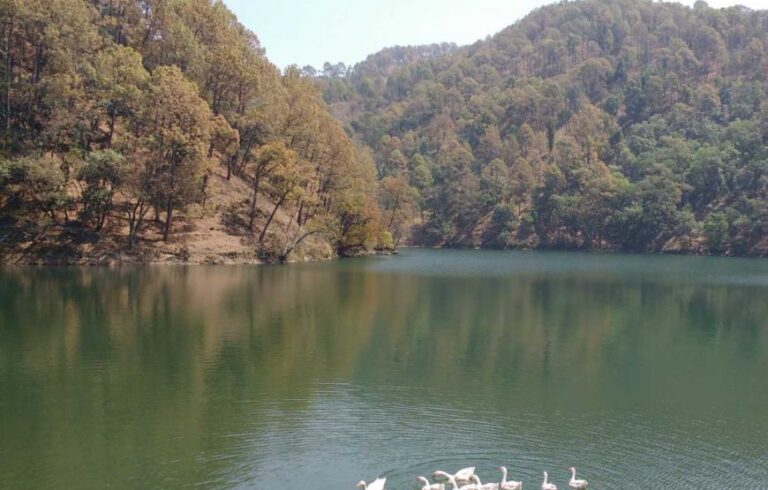 Exotic Corbett Nainital Tour