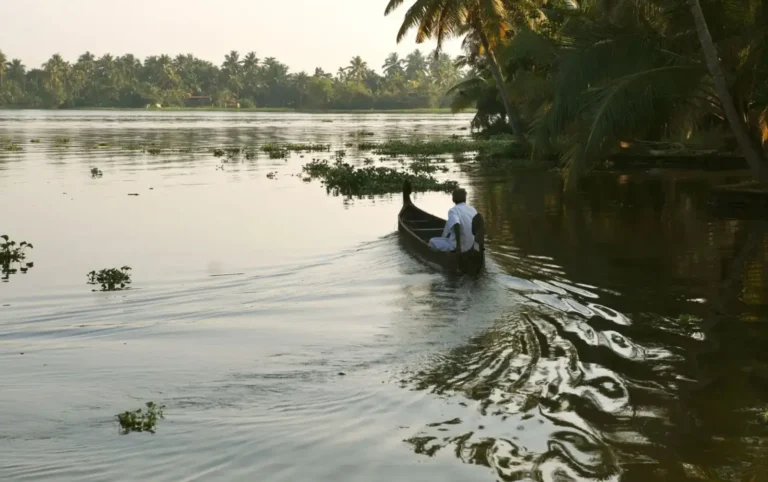Kerala Backwaters: A Complete Guide to Houseboats, Villages & Slow Travel