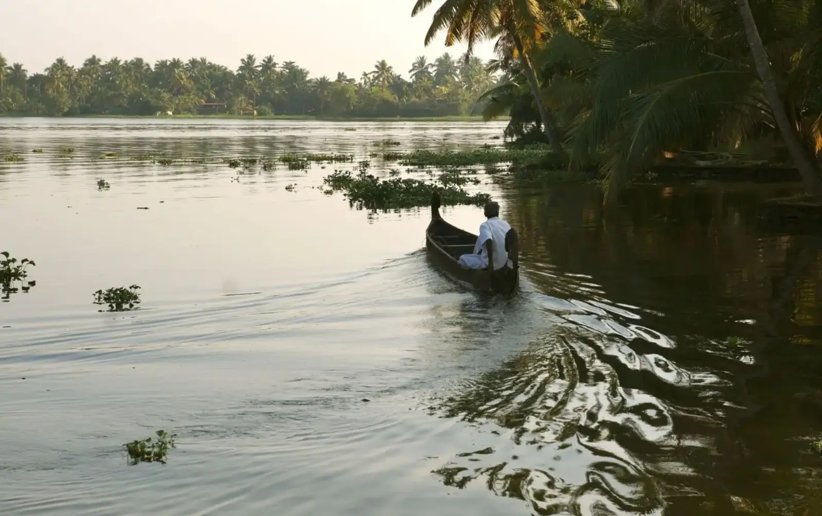 Kerala Backwaters: A Complete Guide to Houseboats, Villages & Slow Travel